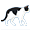 Katze